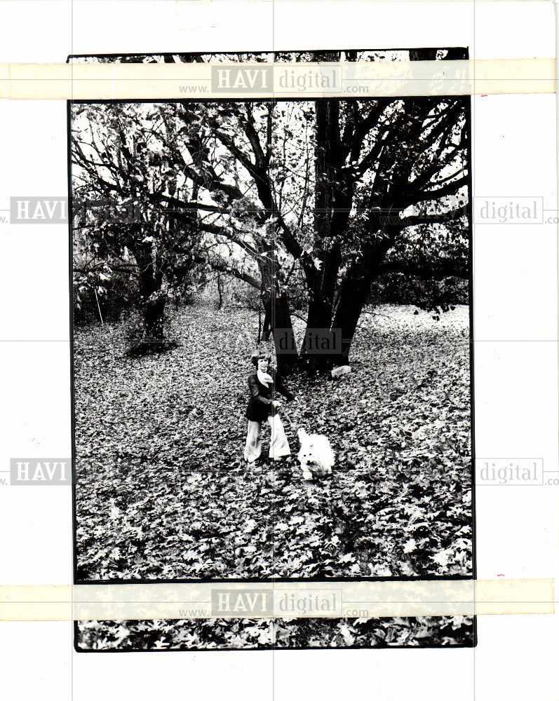 1977 Press Photo Autumn Oak Leaves Bloomfield Hills - Historic Images