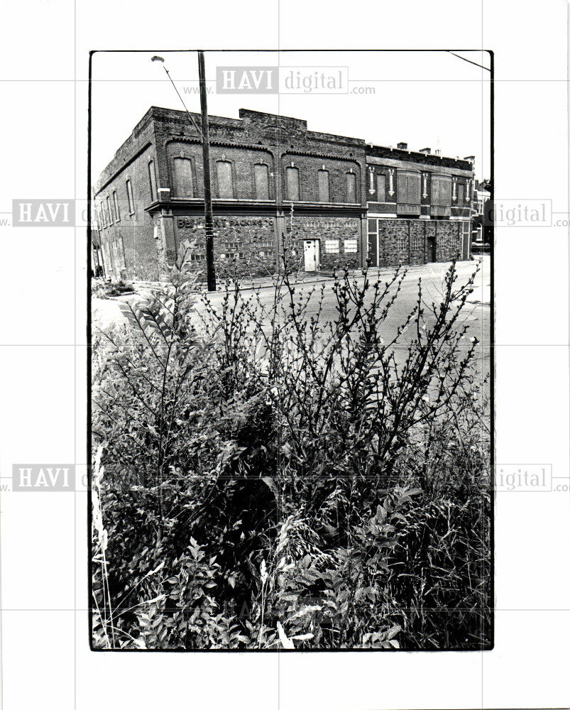 1981 Press Photo Belmont Packing Co. - Historic Images