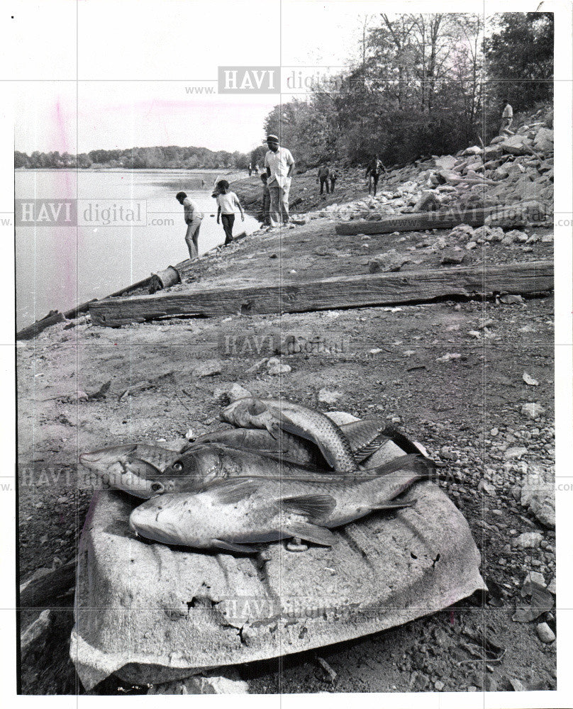 1973 Press Photo Belleville Lake in Western Wayne - Historic Images