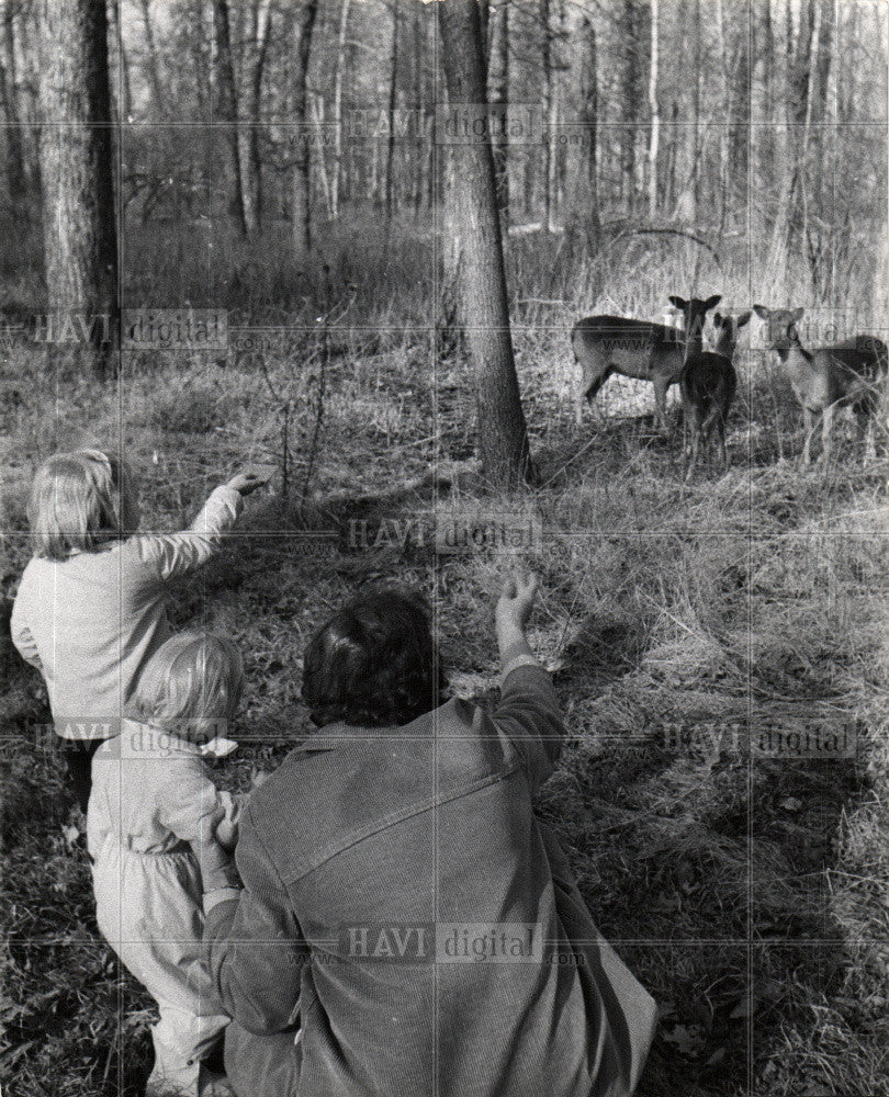 1966 Press Photo Wildlife, deer - Historic Images