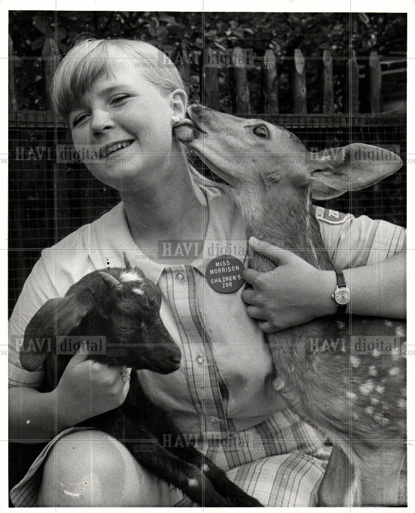 1969 Press Photo deer Belle Isle zoo - Historic Images