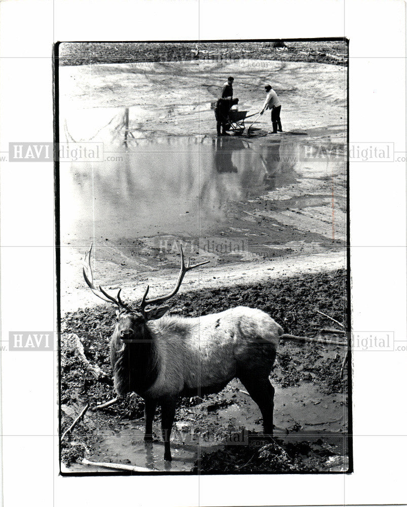 1982 Press Photo Belle Isle Zoo, animal babies - Historic Images