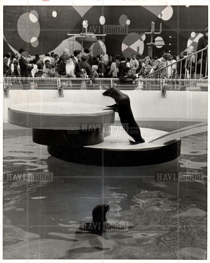 1967 Press Photo Children&#39;s Zoo, Belle Isle, Seal pool - Historic Images