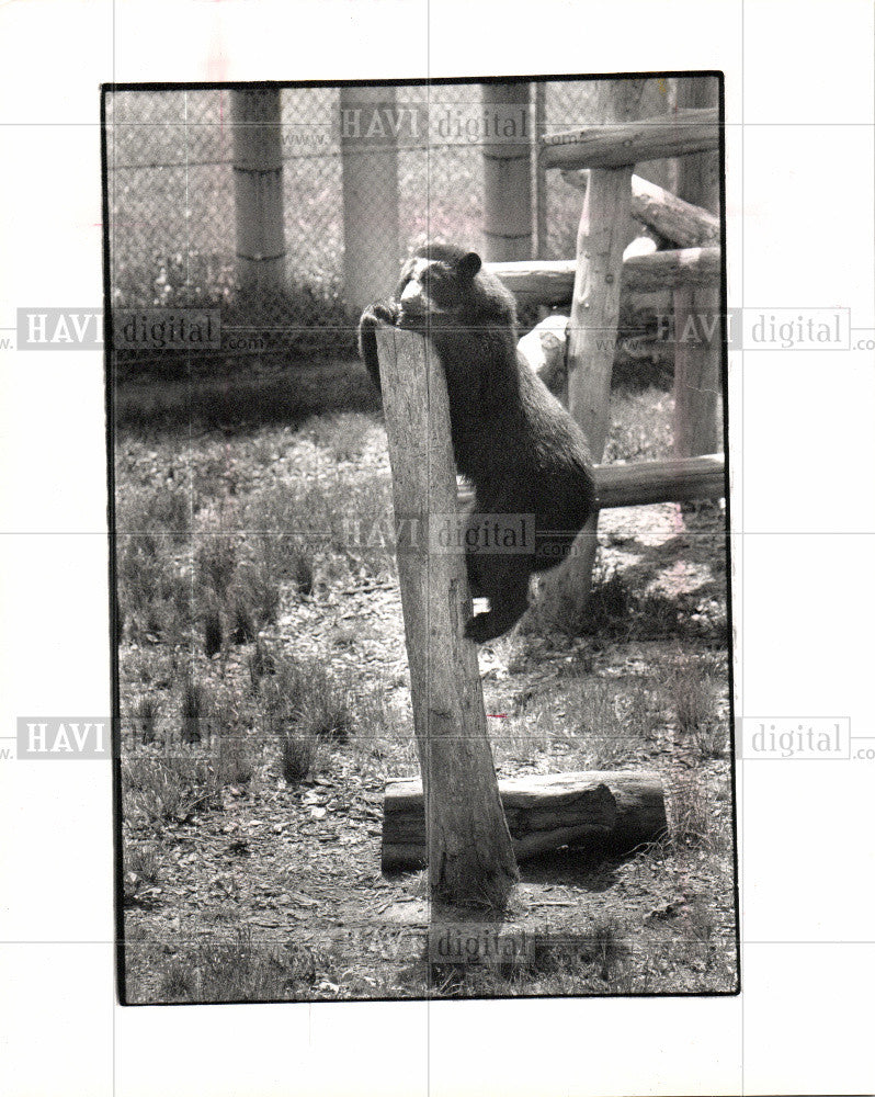 1988 Press Photo Belle Isle Children Zoo - Historic Images