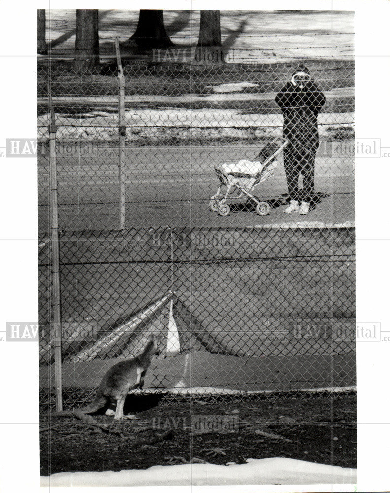 1990 Press Photo Belle Isle Zoo, Belle Isle, Detroit - Historic Images