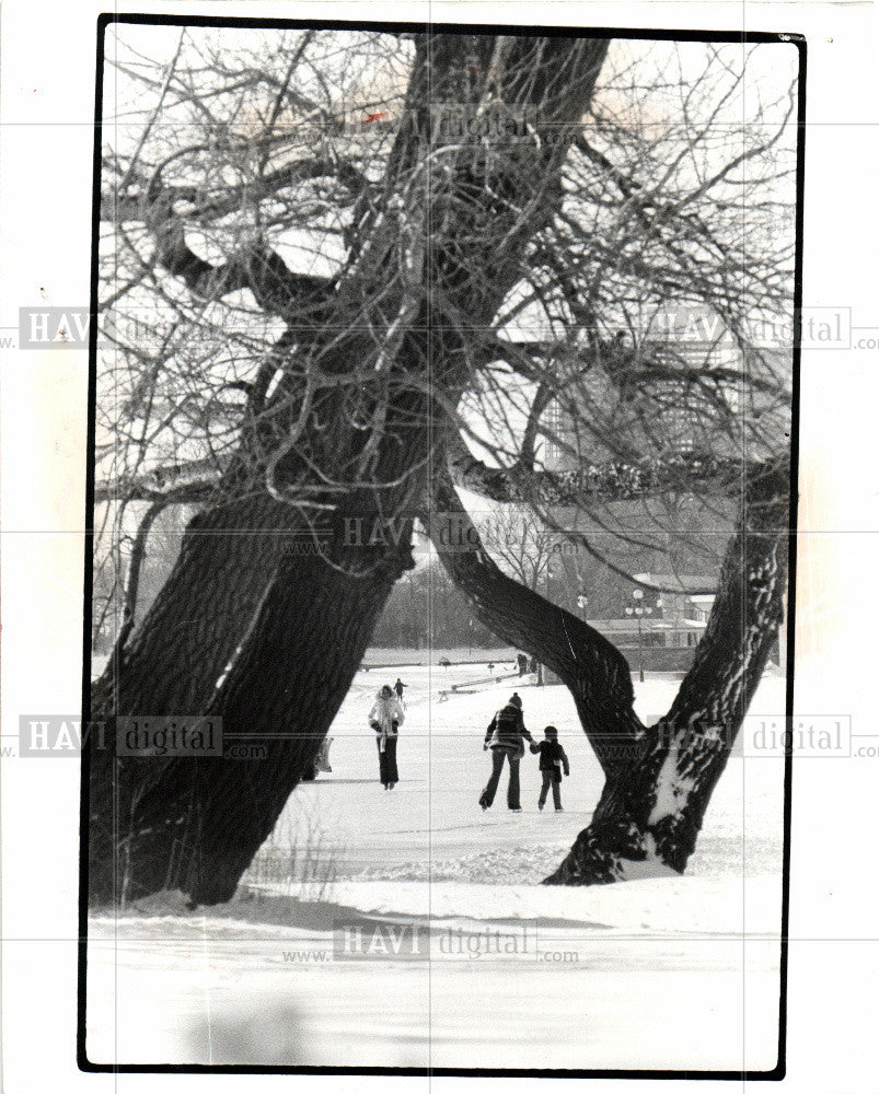 1996 Press Photo Belle Isle Lagoon skaters ice - Historic Images