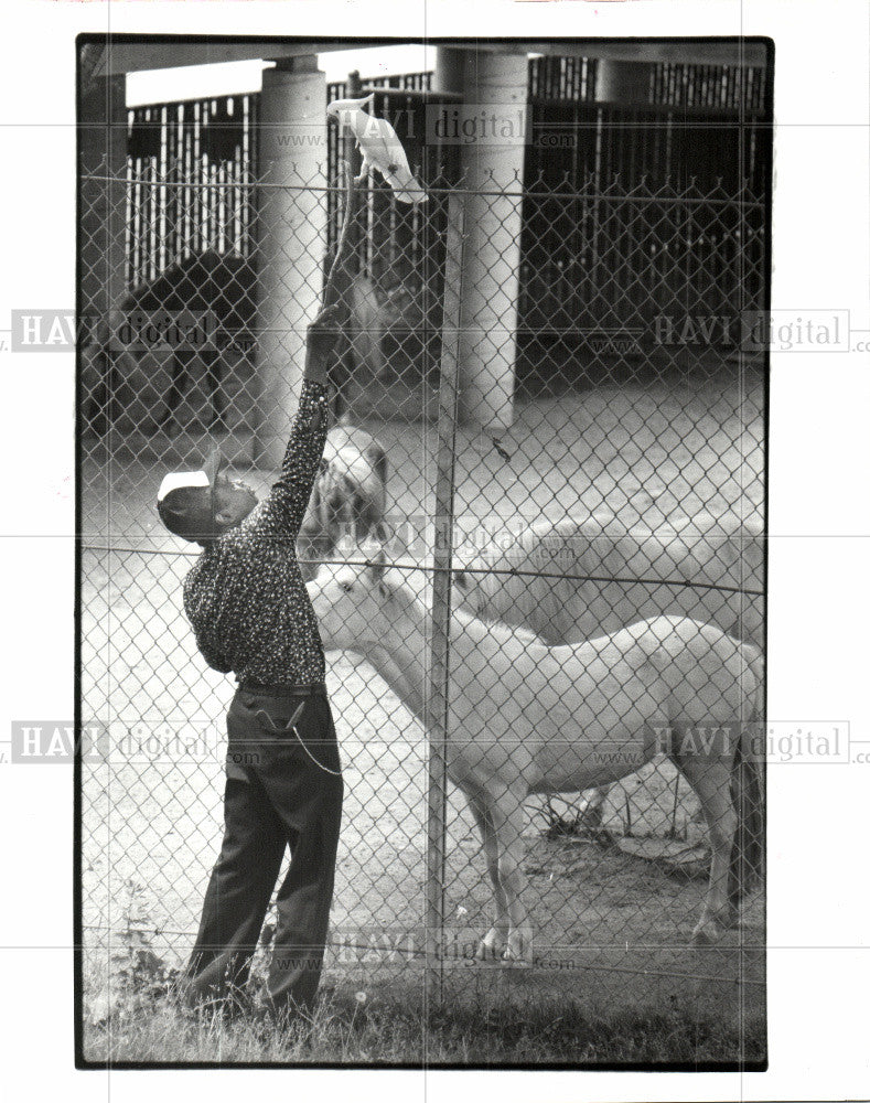 1985 Press Photo Belle Isle park zoo - Historic Images