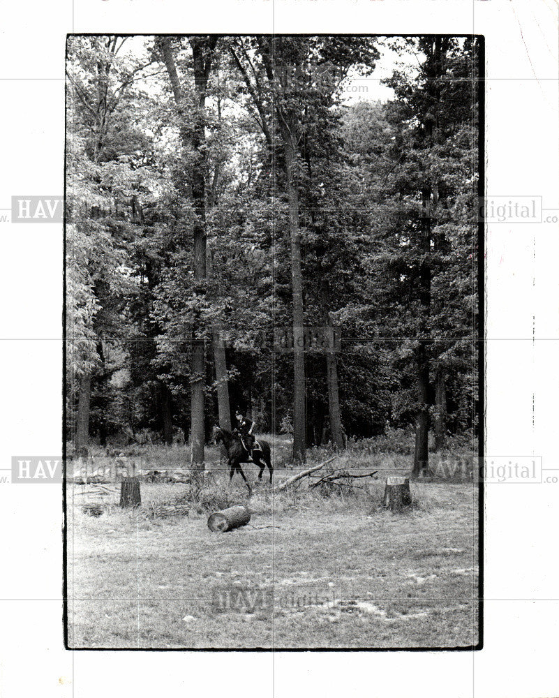 1973 Press Photo Belle Isle Park mounted police woods - Historic Images