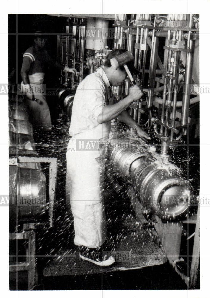 1986 Press Photo Beev - Historic Images