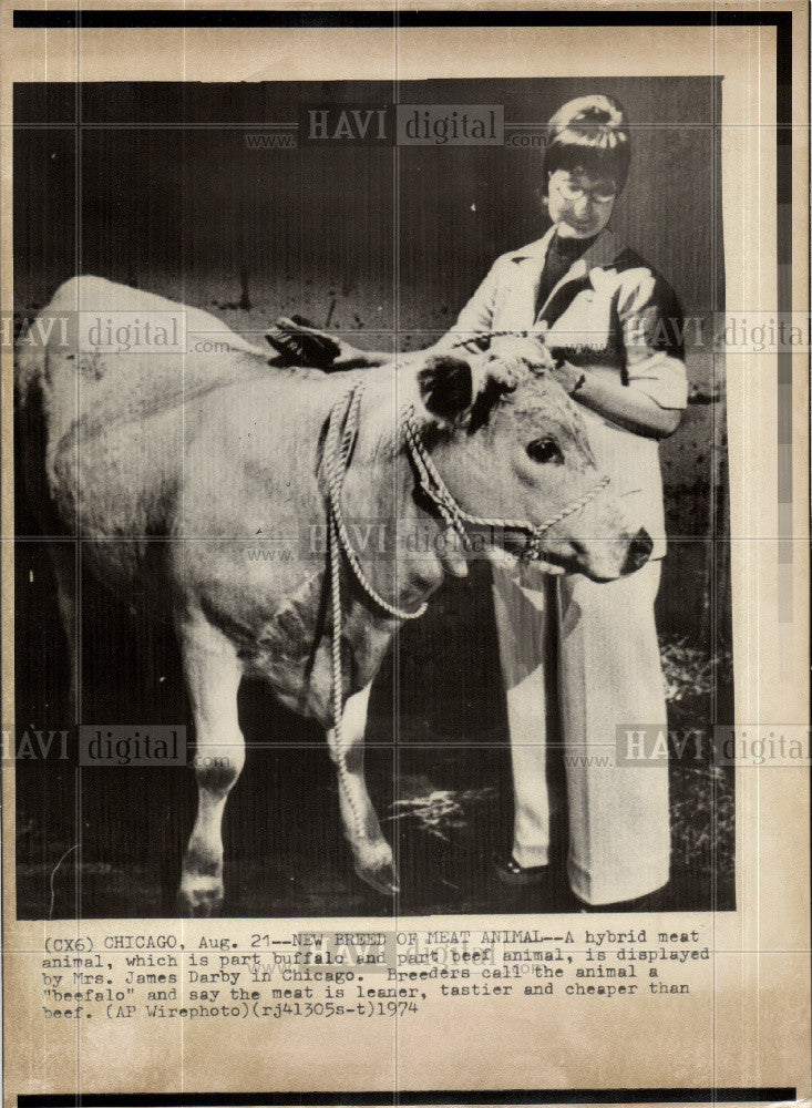 1974 Press Photo Beetalo - Historic Images