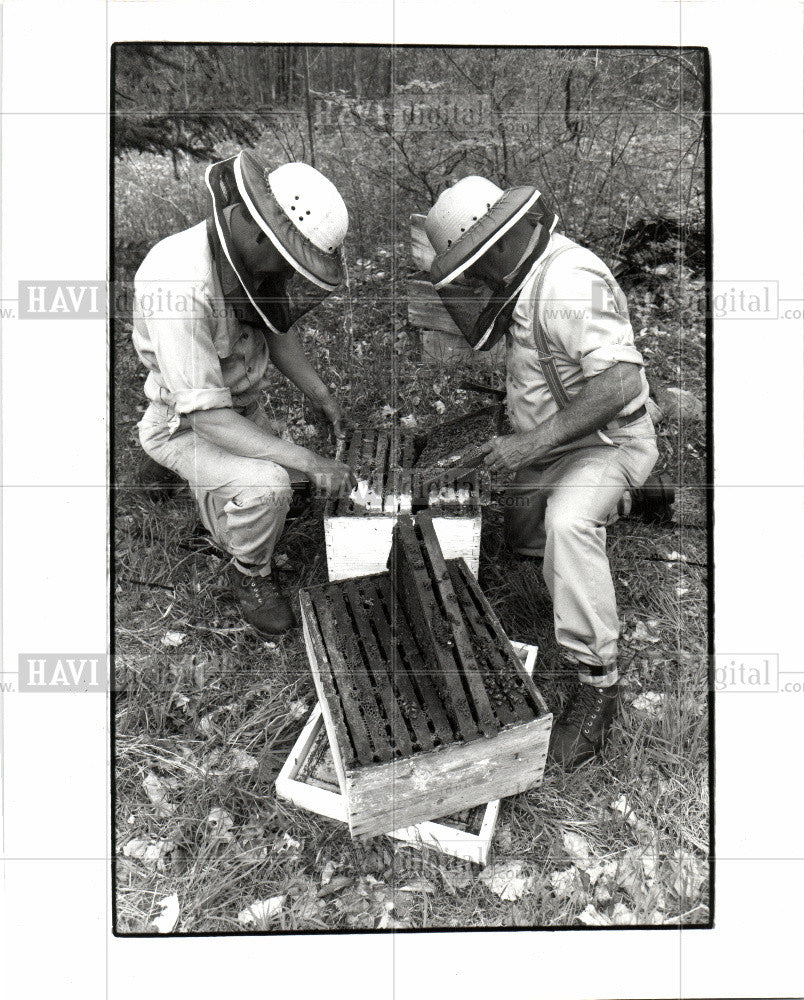 1992 Press Photo BEEKEEPERS - Historic Images