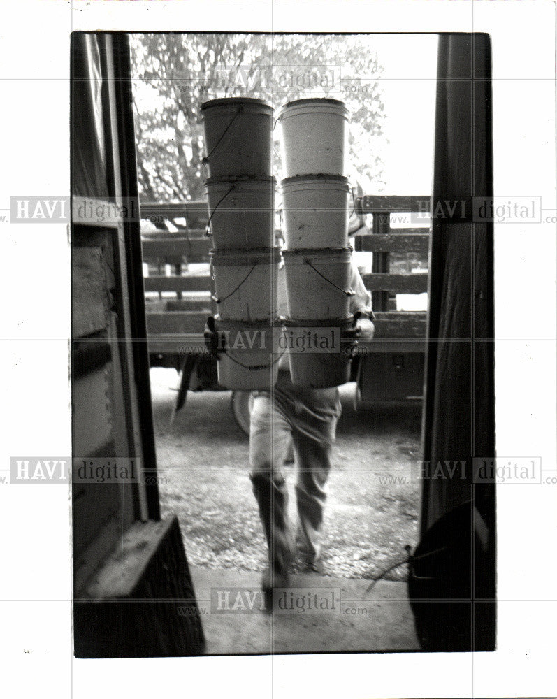 1992 Press Photo Bees Beekeeping - Historic Images