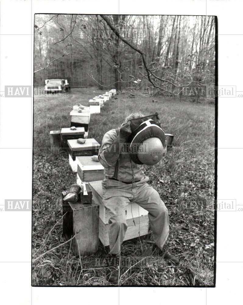 1992 Press Photo Bee - Historic Images