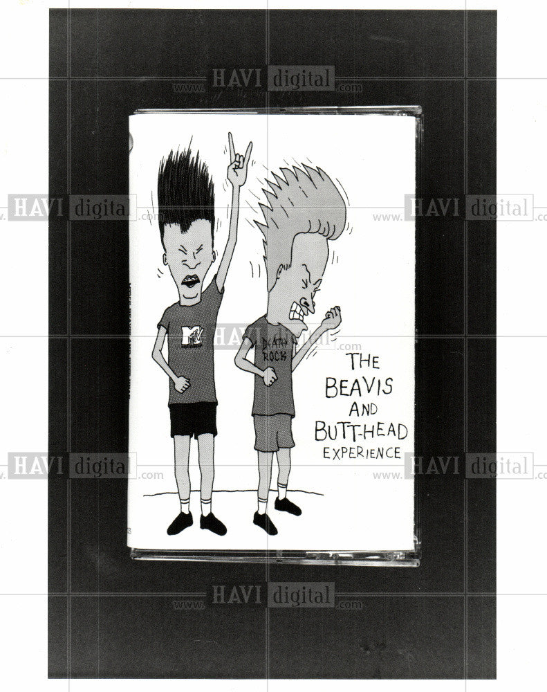 1993 Press Photo Beavis and Butt-head - Historic Images