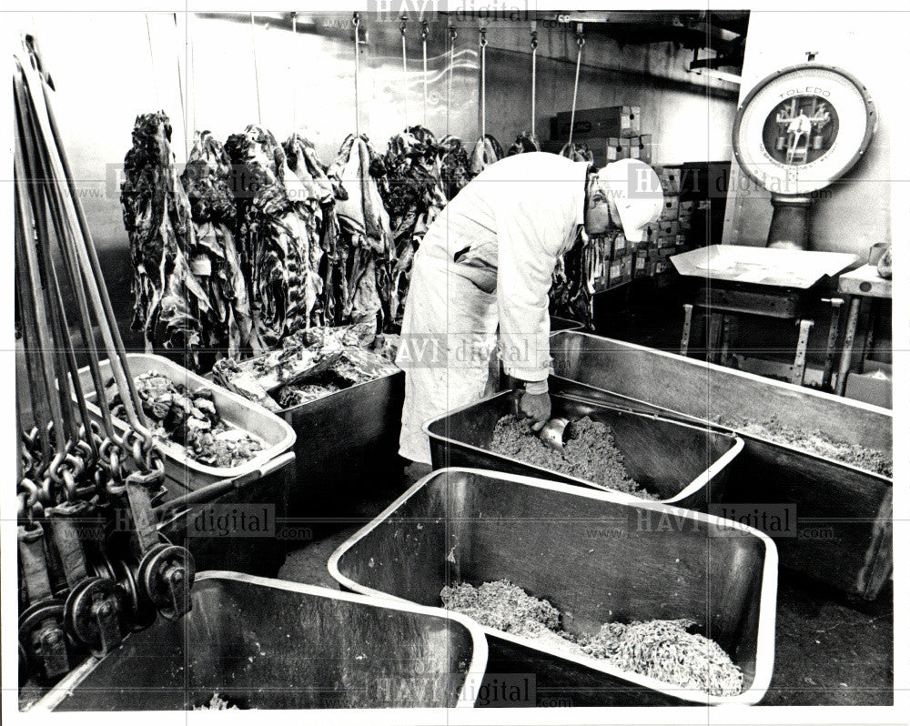 1981 Press Photo Belmout packing company - Historic Images