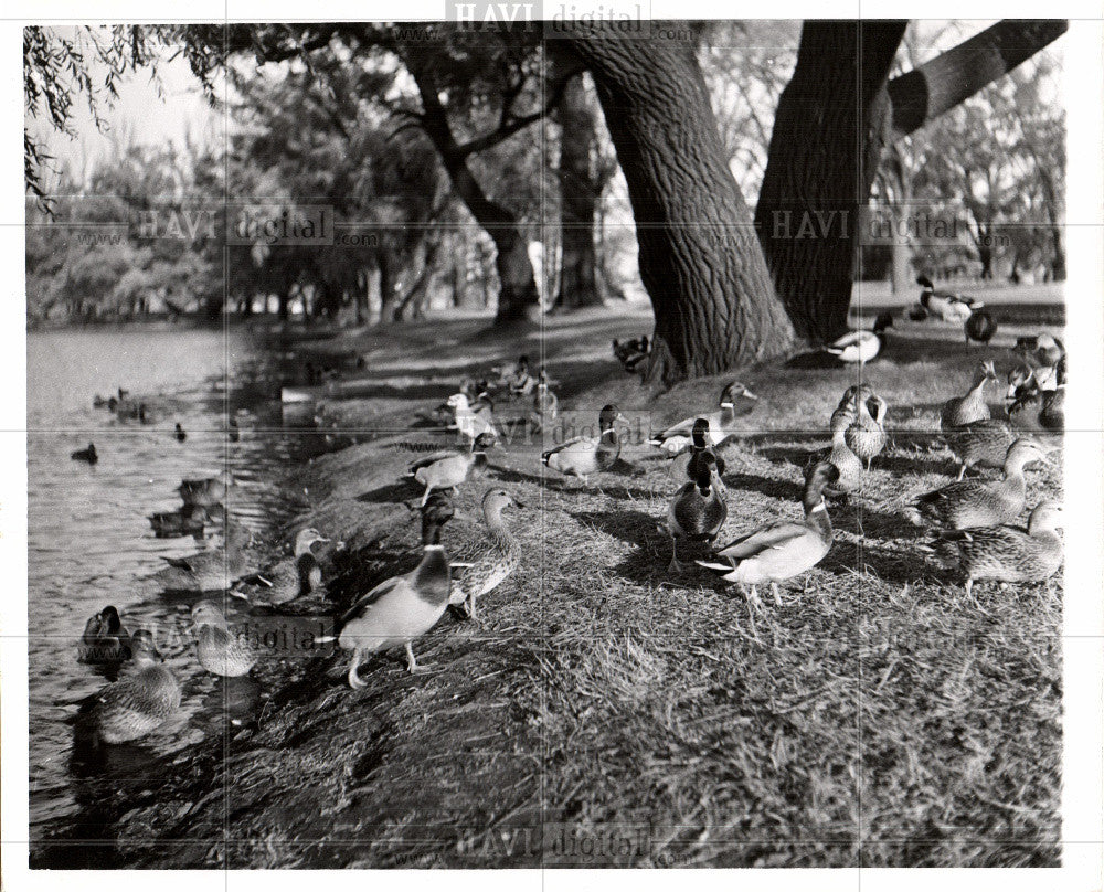 Press Photo Belle Isle Park Detroit Michigan - Historic Images