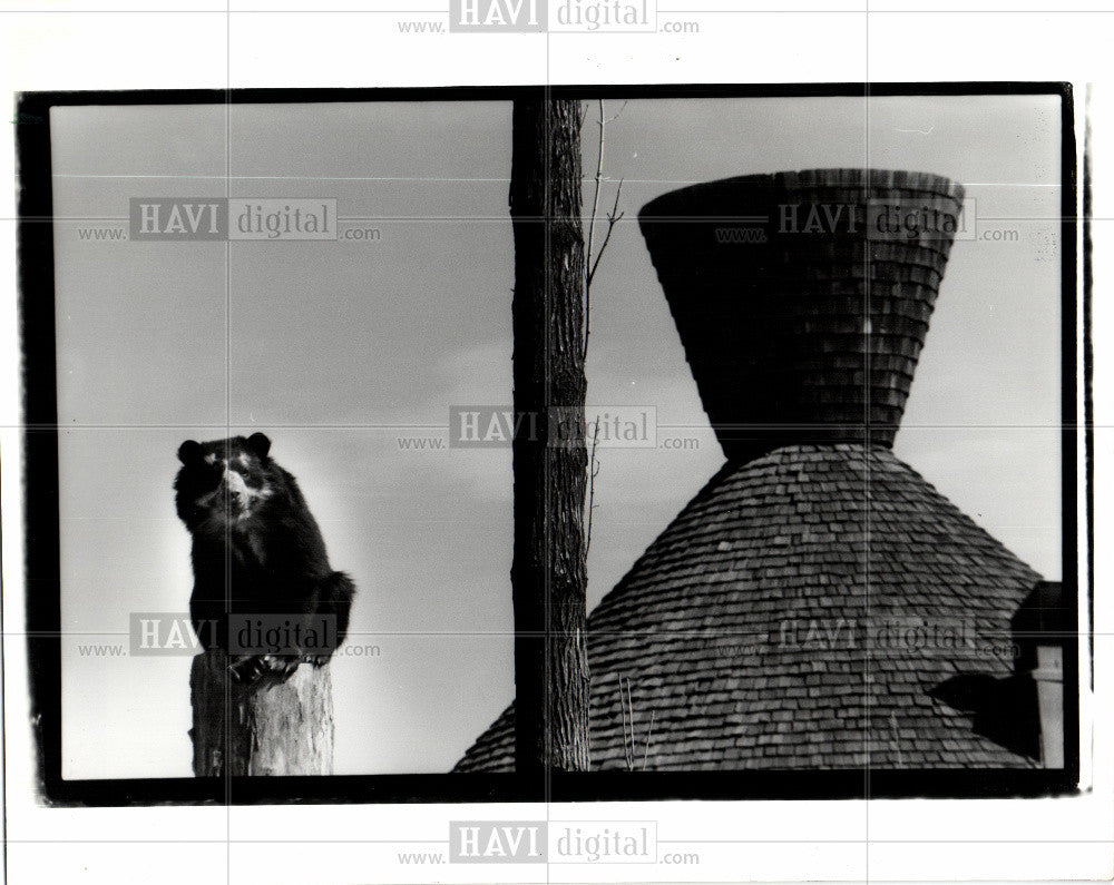 1990 Press Photo Belle Isle Children Zoo bear - Historic Images