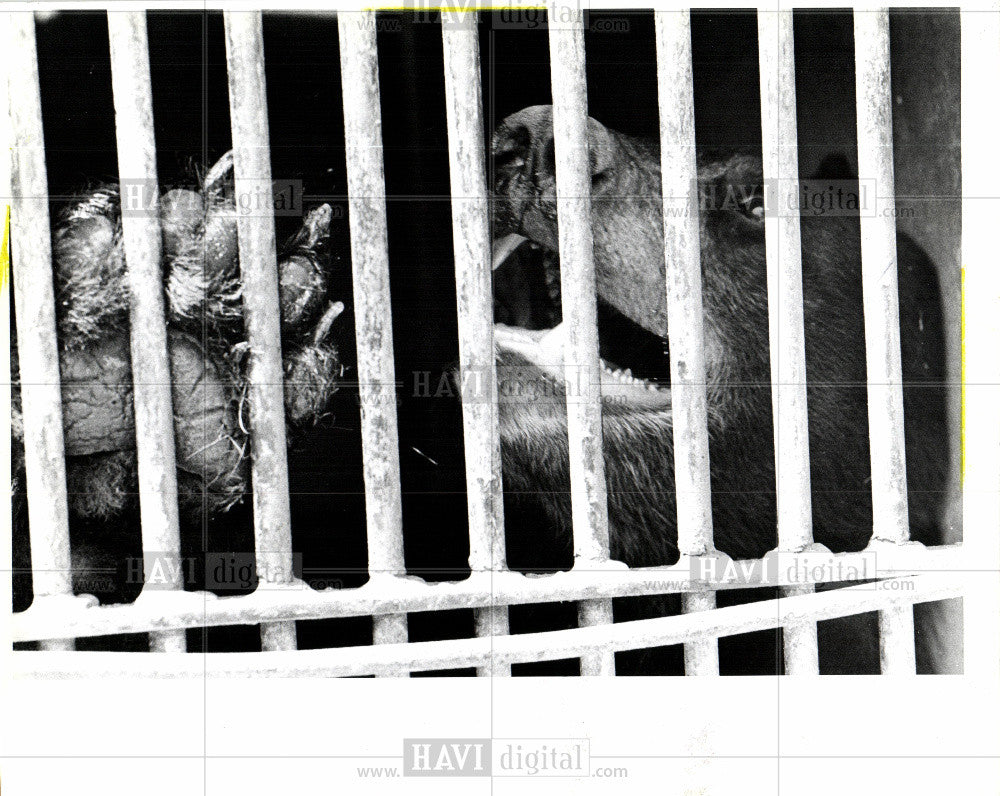 1980 Press Photo Belle Isle Children's Zoo - Historic Images