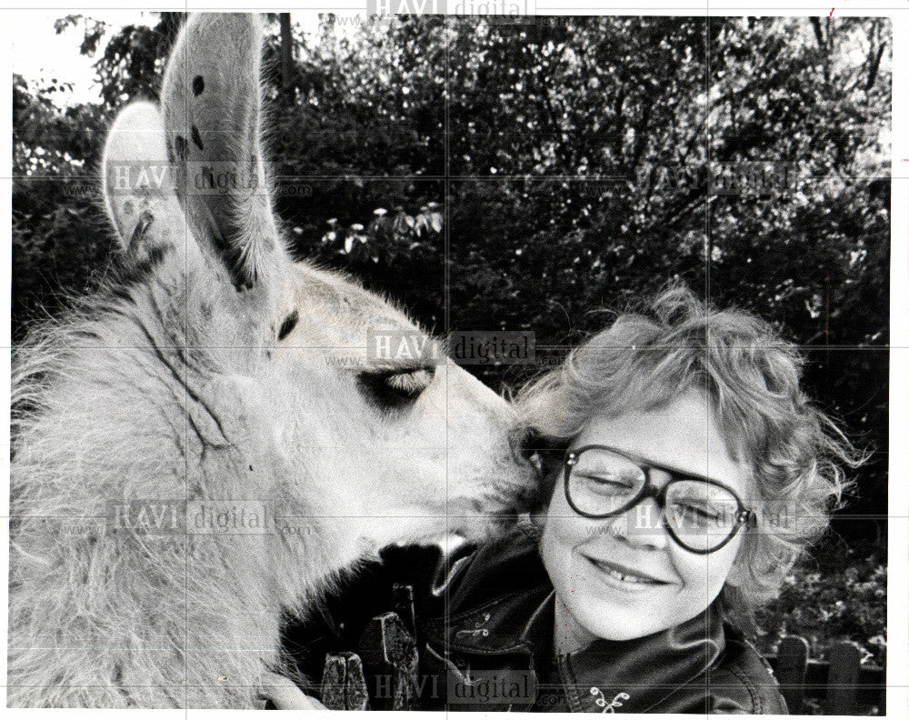 1979 Press Photo Catherine Robinson llama - Historic Images