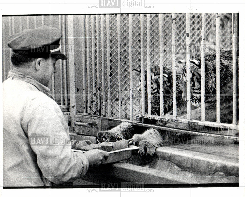 1972 Press Photo Belle Isle Park Zoo Detroit River - Historic Images