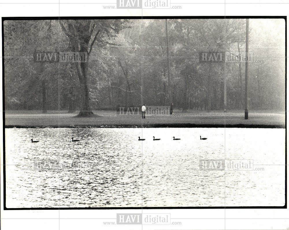 1987 Press Photo Belle Isle Park ducks Detroit River - Historic Images