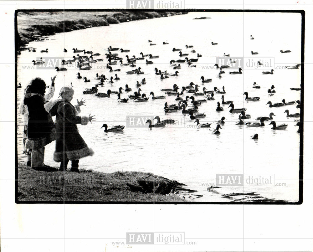 1976 Press Photo FEED BELLE ISLE DUCKS - Historic Images