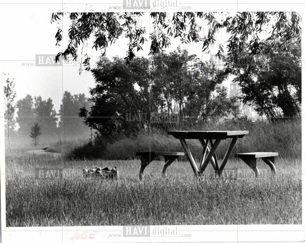 1980 Press Photo Belle Isle Livingstone Overlook - Historic Images