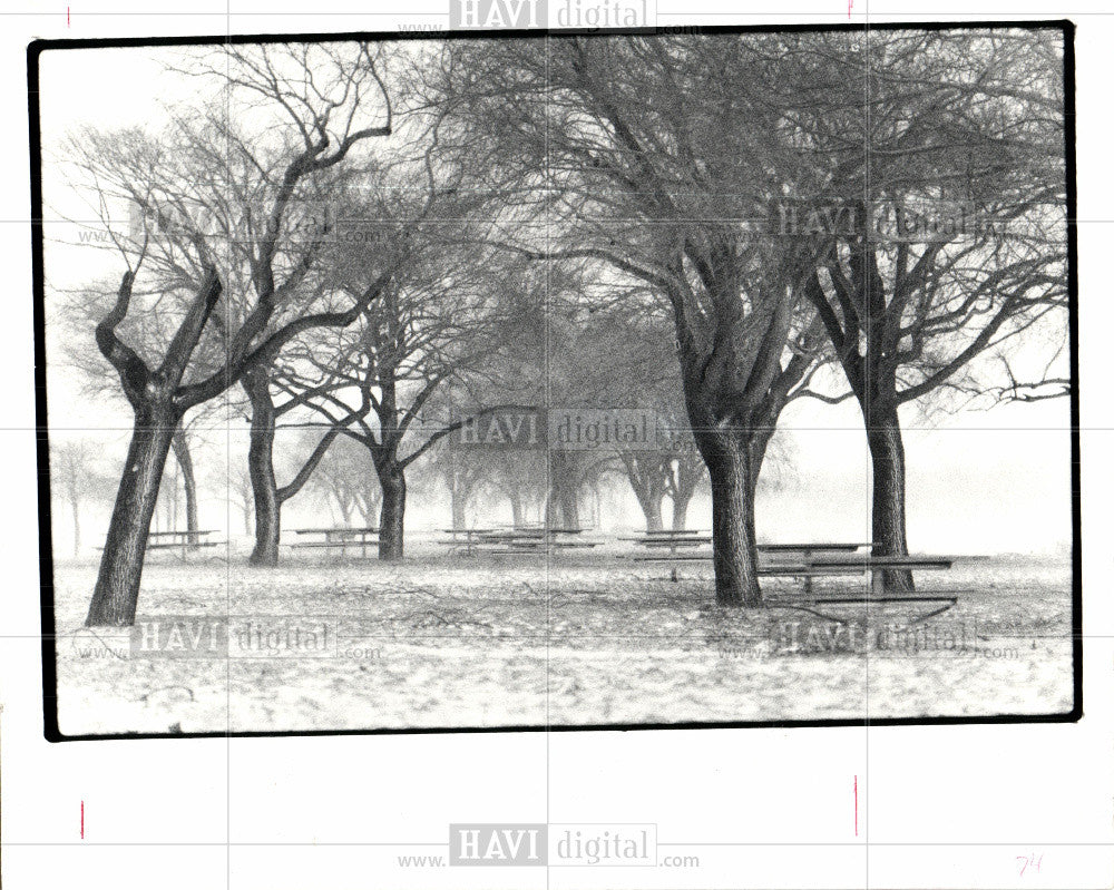 1982 Press Photo island park in the Detroit - Historic Images