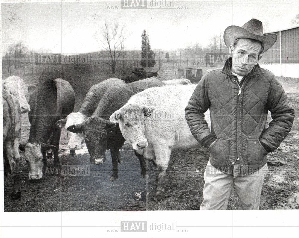 1987 Press Photo Beefalo - Historic Images