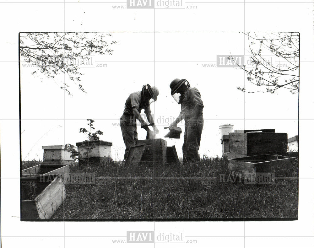 1992 Press Photo Dan DeKorne Jacob bee colony - Historic Images