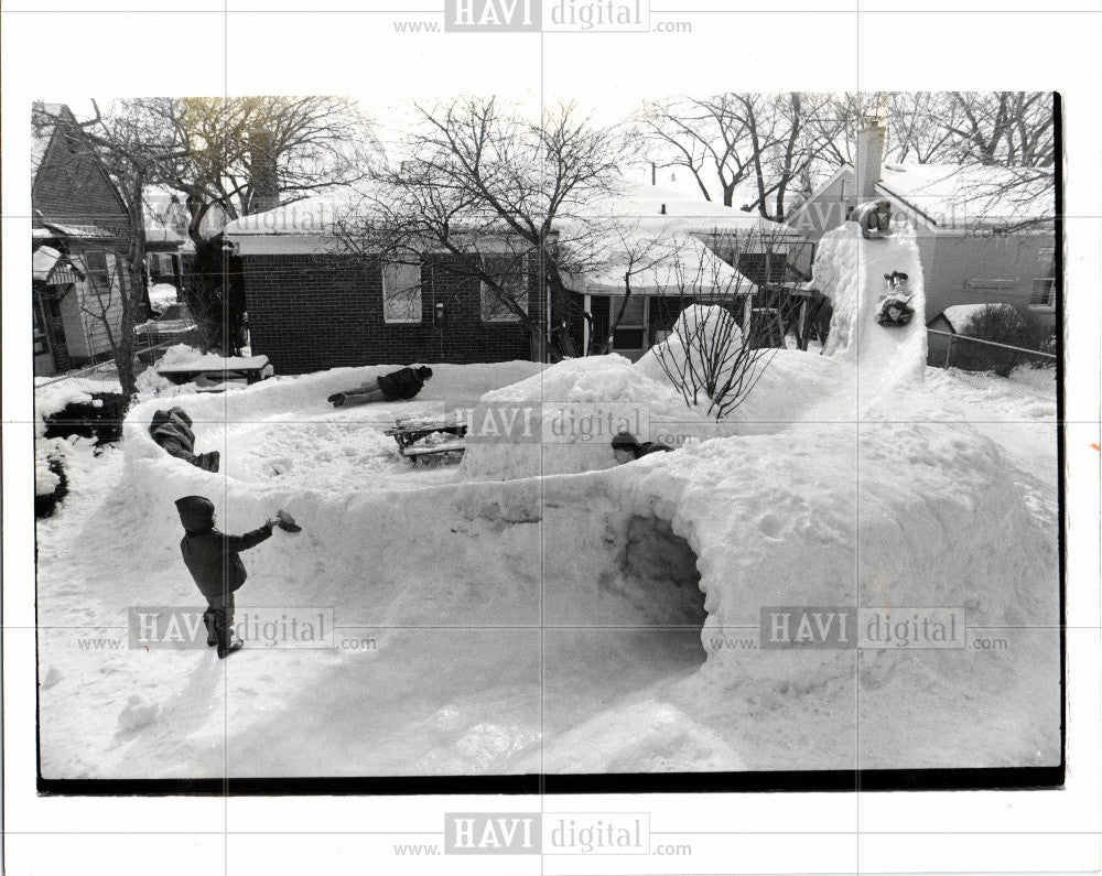 1978 Press Photo backyard human bobsled slide kids ride - Historic Images