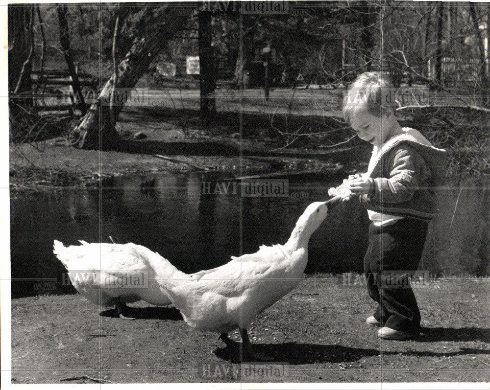 1988 Press Photo FEEDING FOWL - Historic Images