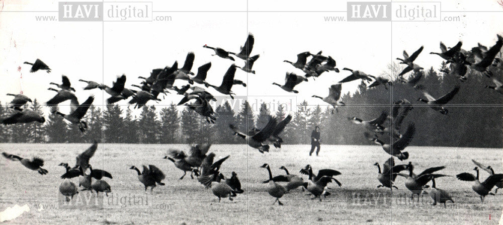 1970 Press Photo Manley Miner, bird sanctuary - Historic Images