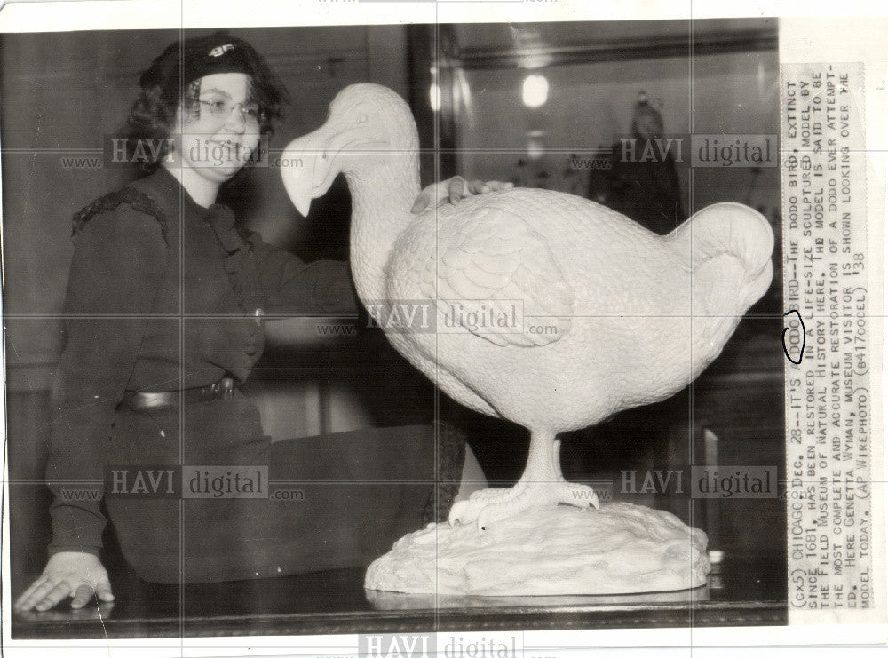 1938 Press Photo The dodo - Historic Images