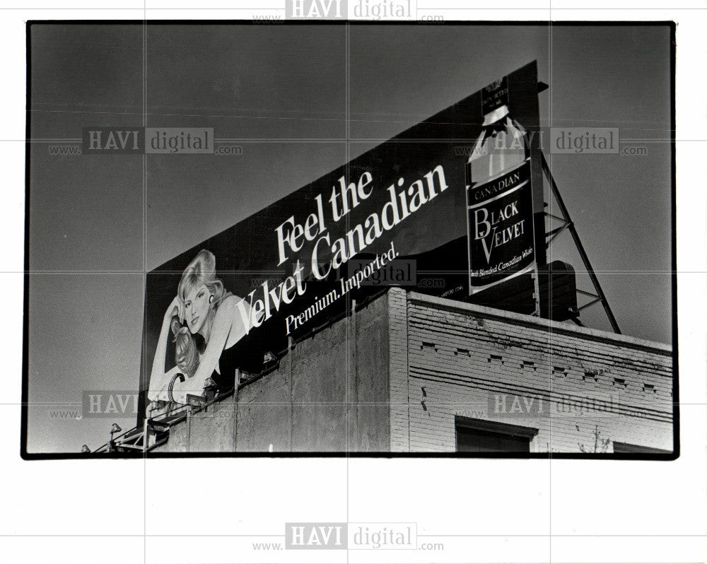 1986 Press Photo Black Velvet Rebellion, Ann Arbor - Historic Images