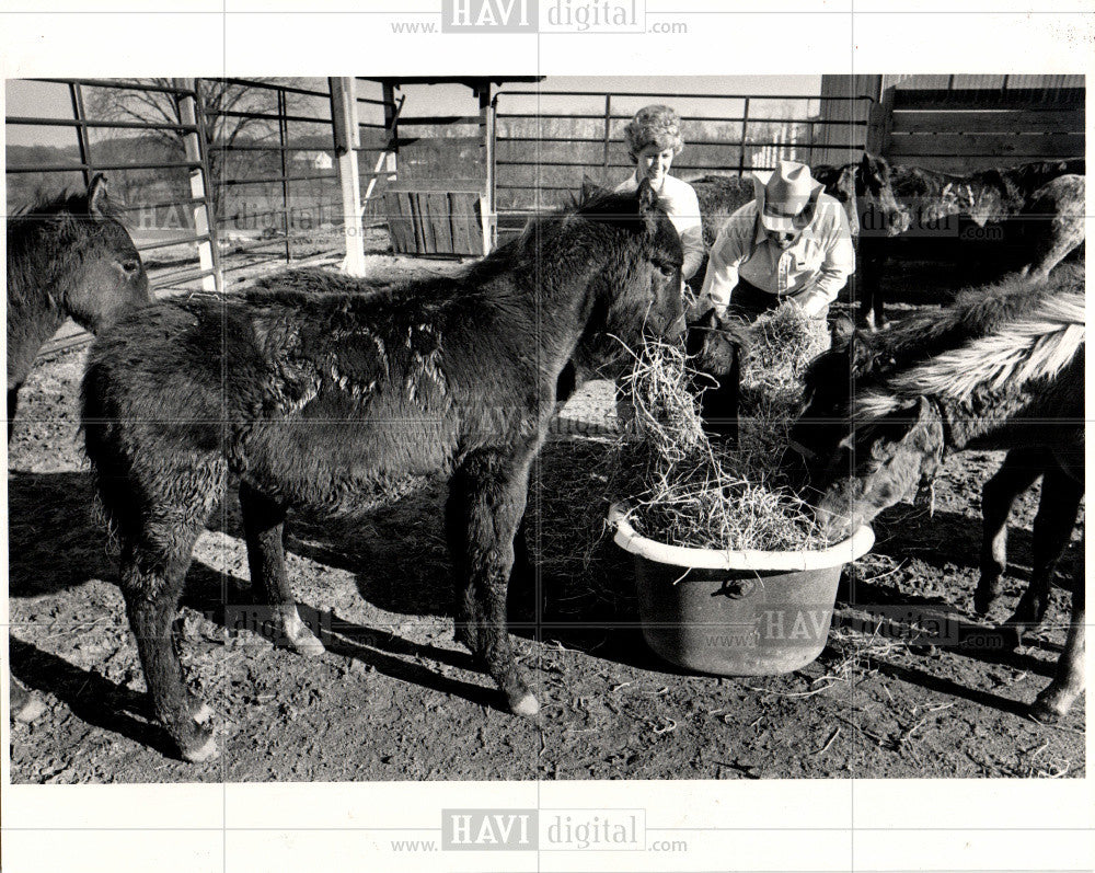 1983 Press Photo Doris Frank Goodlander adoption farm - Historic Images