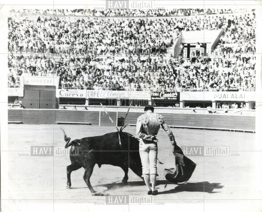 Press Photo bullfighting, man - Historic Images