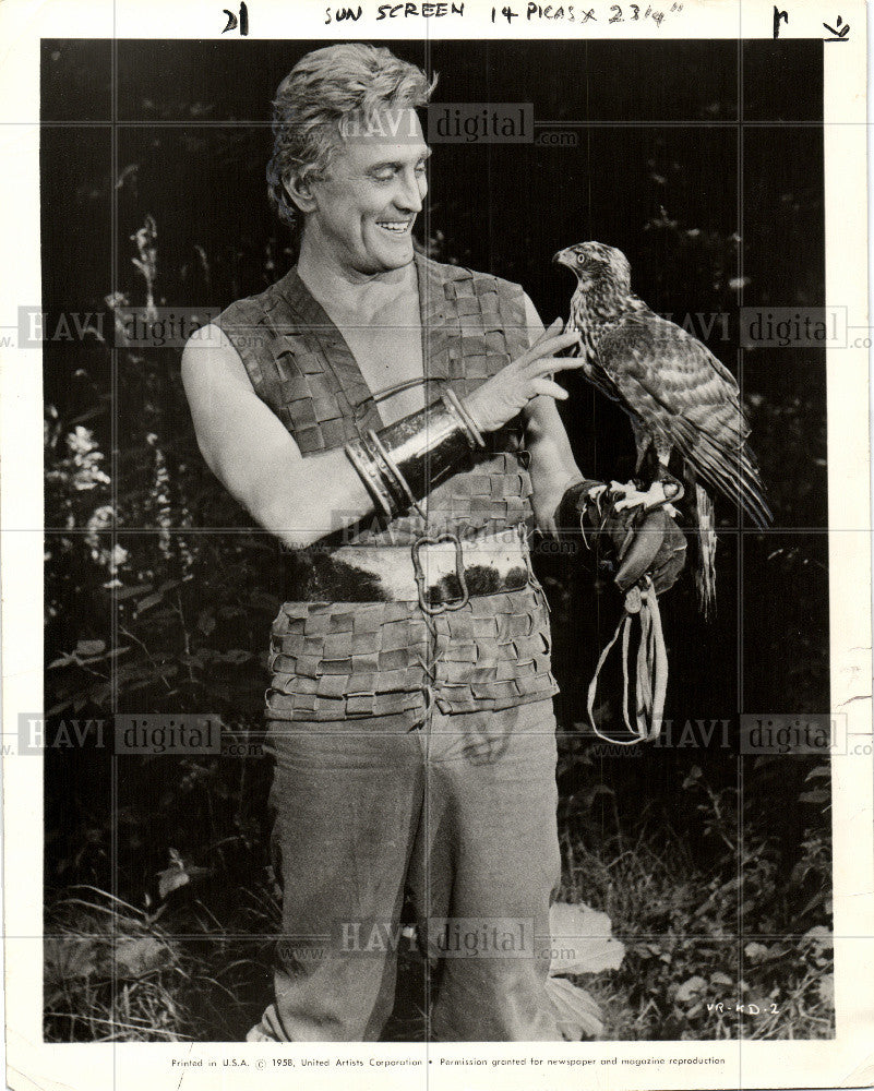 Press Photo Falcon - Historic Images