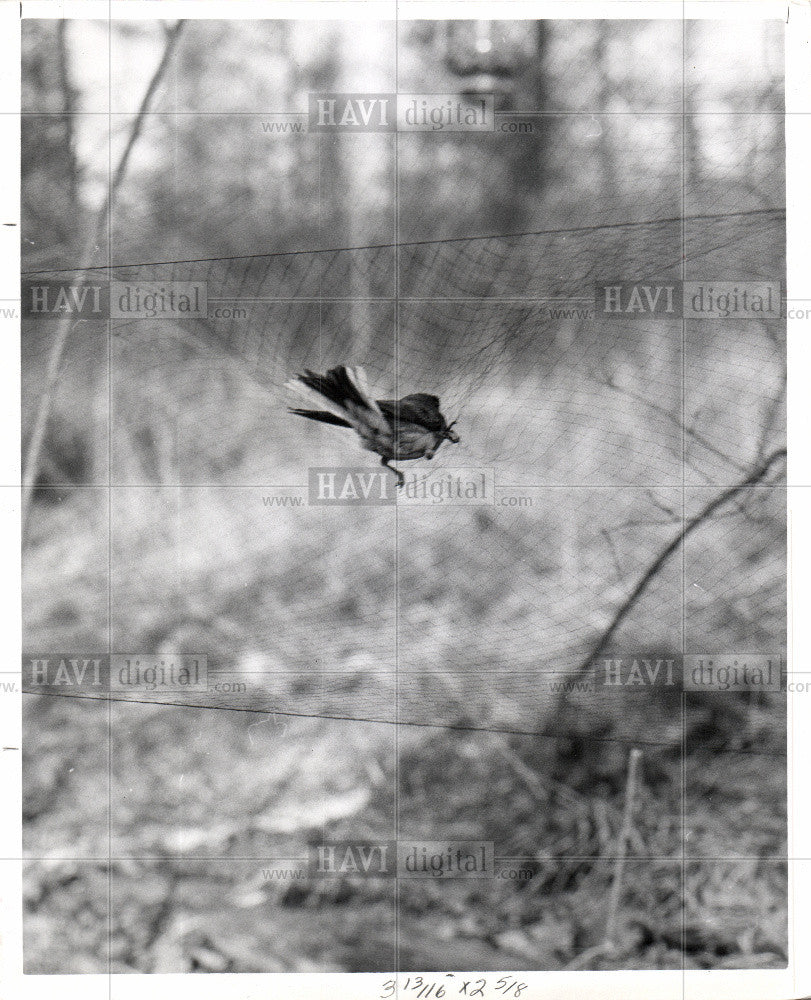 1961 Press Photo Kerlop Junco Japan Michigan - Historic Images