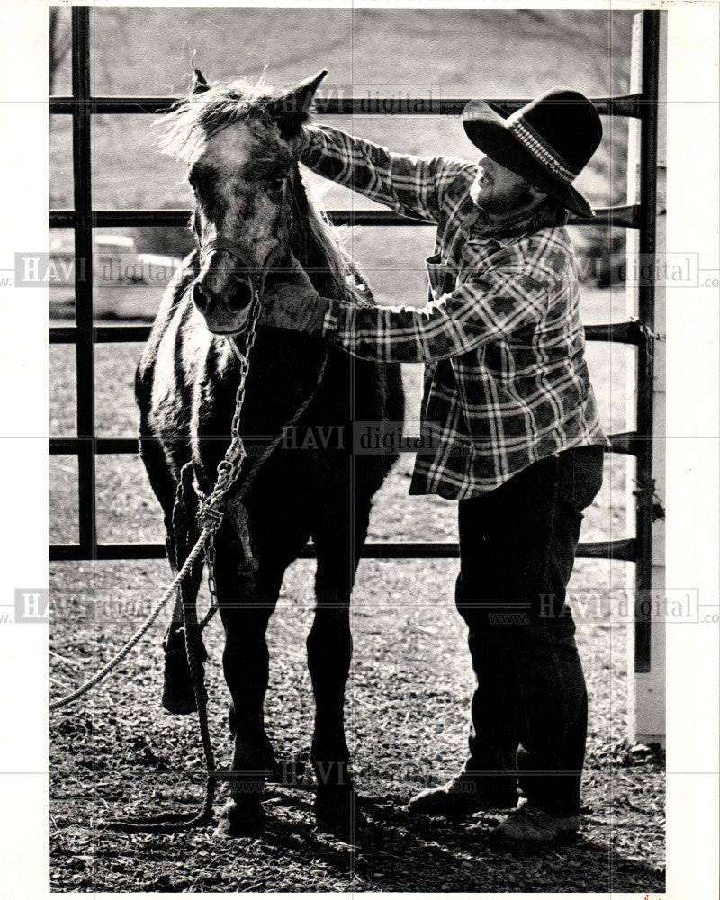 1983 Press Photo horse, hand, break - Historic Images