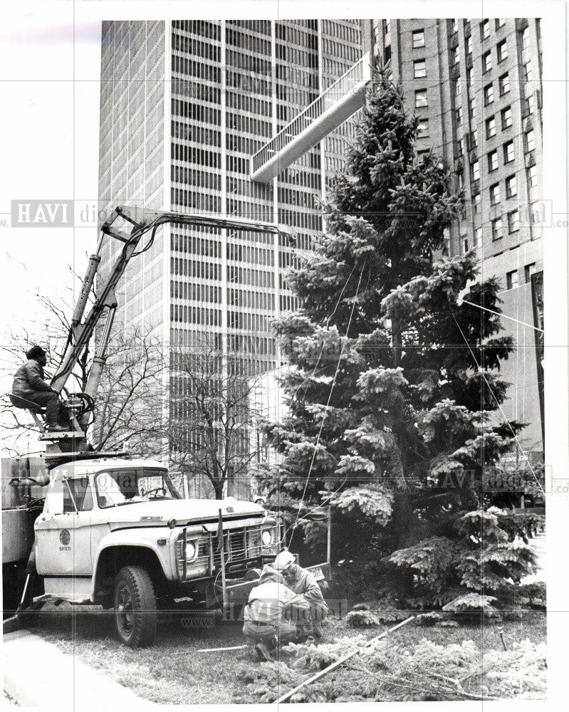 1977 Press Photo CHRISTMAS TREE - Historic Images