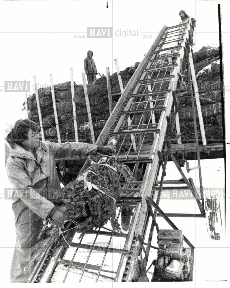 1981 Press Photo Christmas tree John Kline Elevator - Historic Images