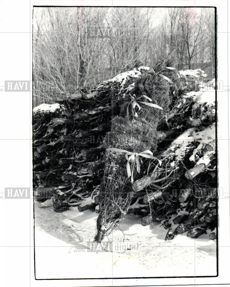 1982 Press Photo Christmas Tree - Historic Images