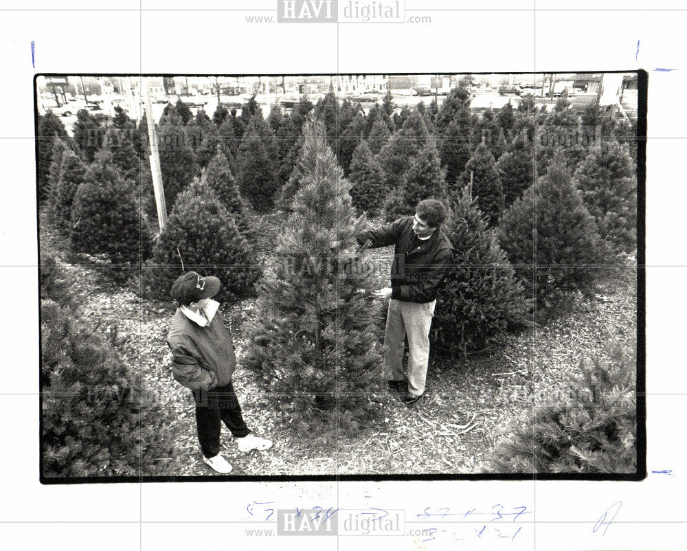 1987 Press Photo Christmas Tree 1987 - Historic Images