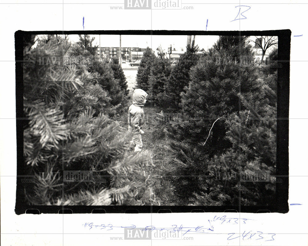1987 Press Photo Christmas tree - Historic Images