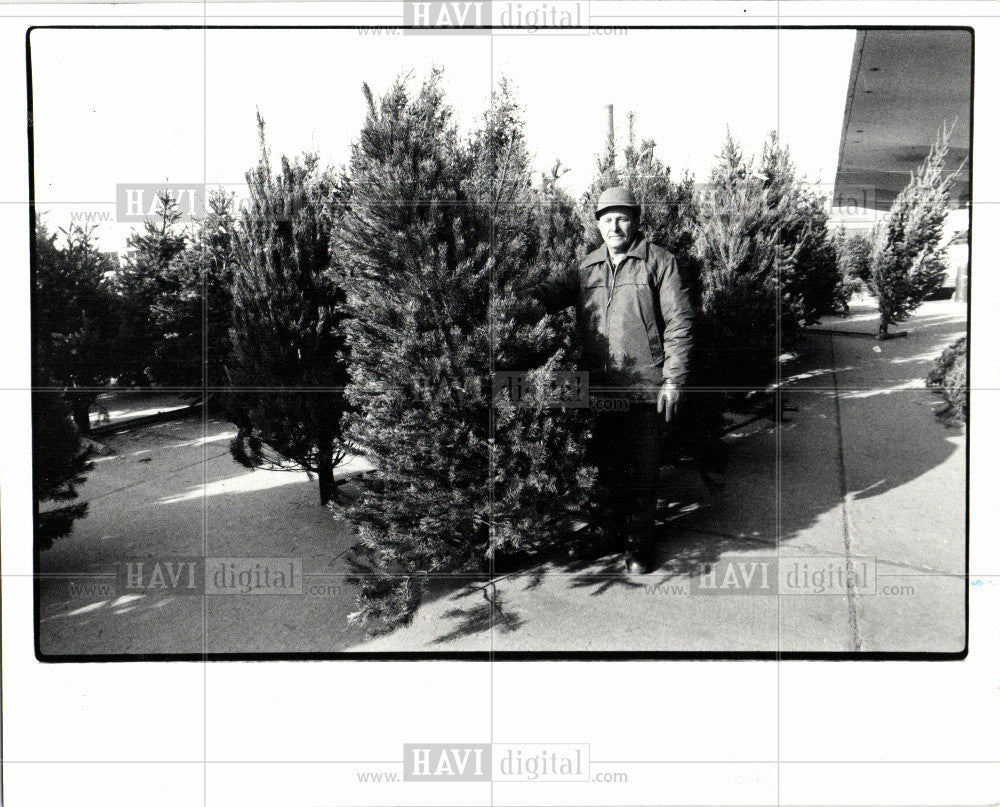 1982 Press Photo Christmas trees Albert LaFave - Historic Images