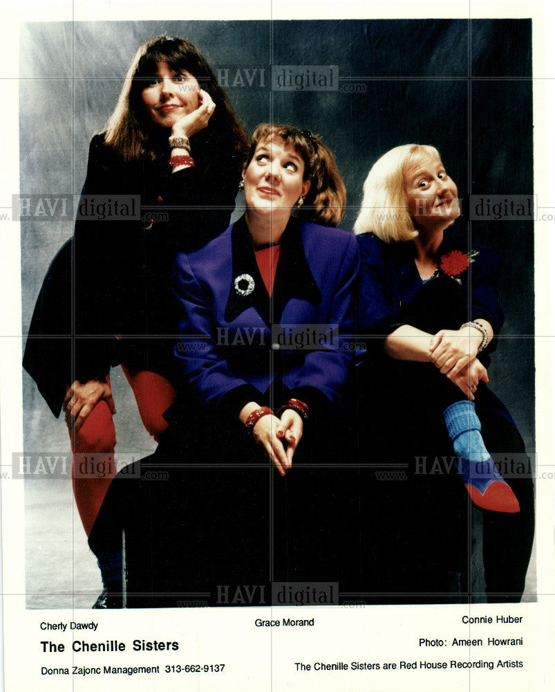 1993 Press Photo Chenille Sisters folk band Cheryl - Historic Images