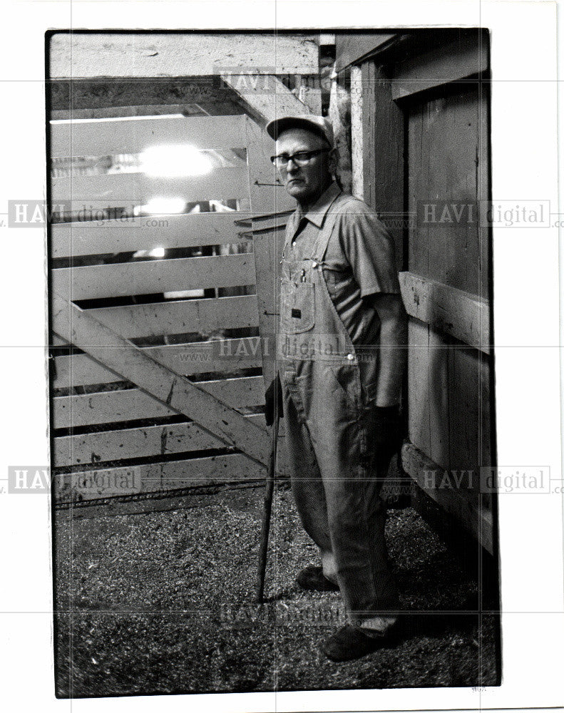 1979 Press Photo cattle auction worker in stall - Historic Images
