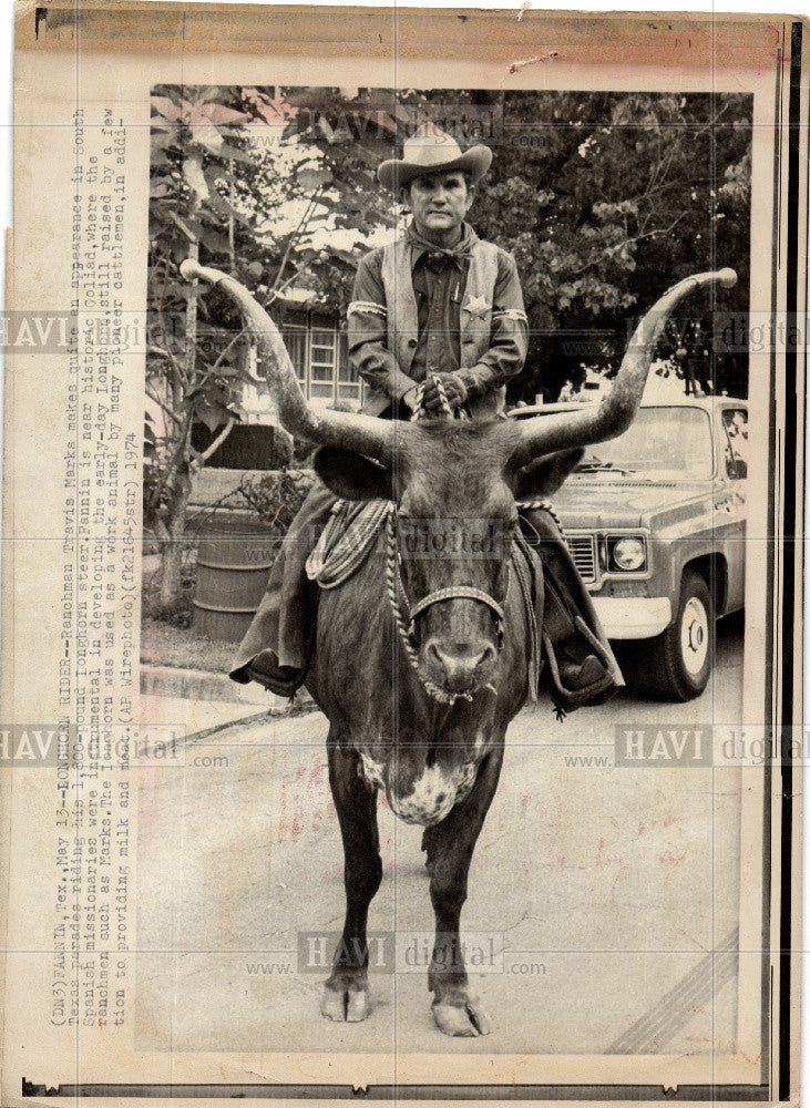 1997 Press Photo tamer tax cattle ordinary wage earner - Historic Images