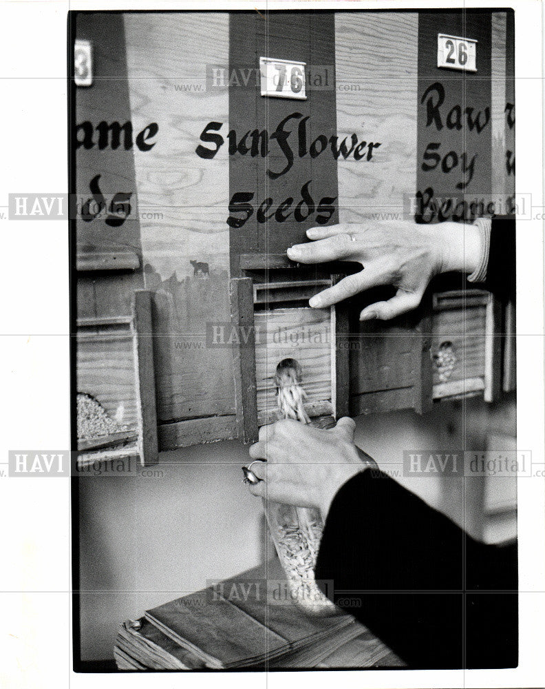1980 Press Photo Cass Corridor Co-Op - Historic Images